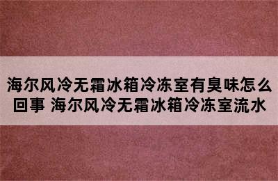 海尔风冷无霜冰箱冷冻室有臭味怎么回事 海尔风冷无霜冰箱冷冻室流水